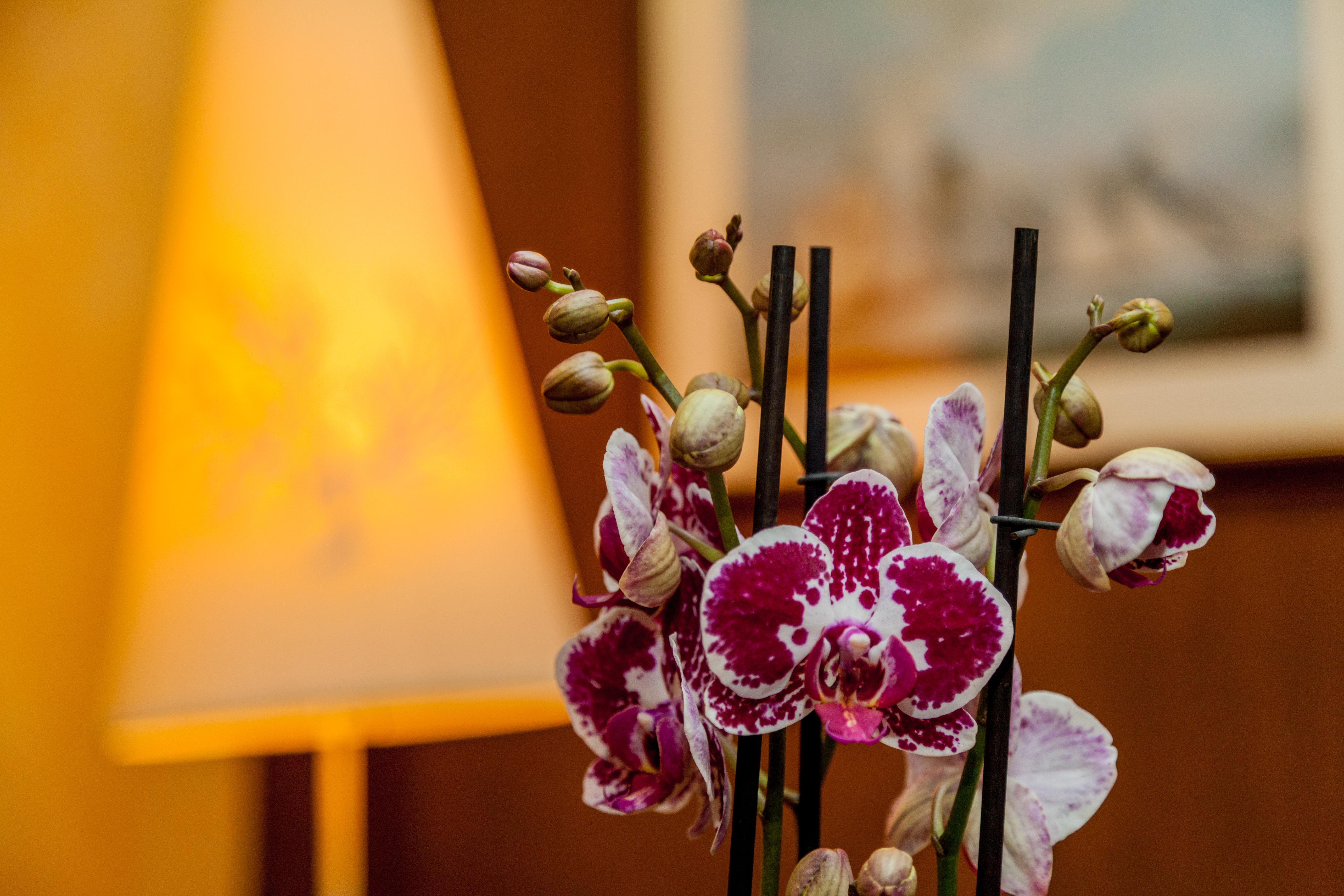 La Vecchia Fonte Boutique Hotel Palau Exteriér fotografie